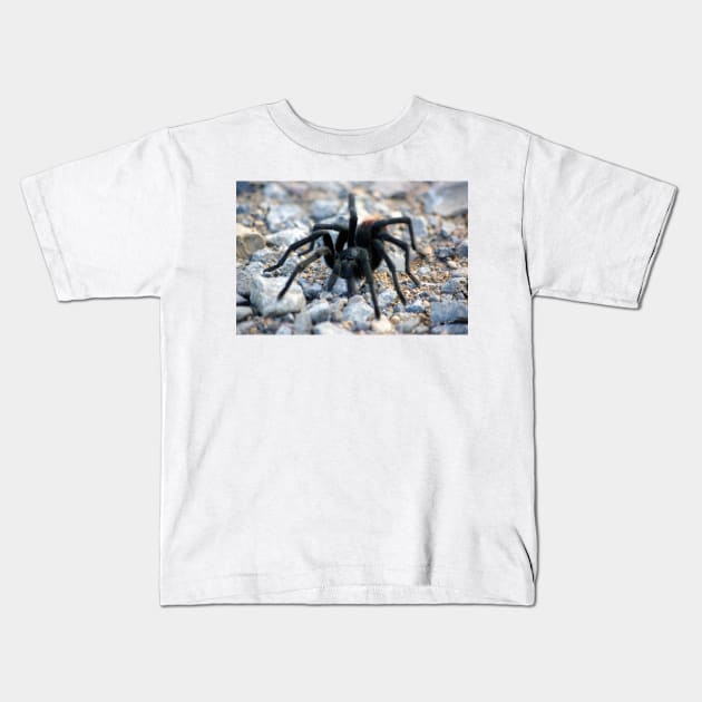 Tarantula Kids T-Shirt by VKPelham